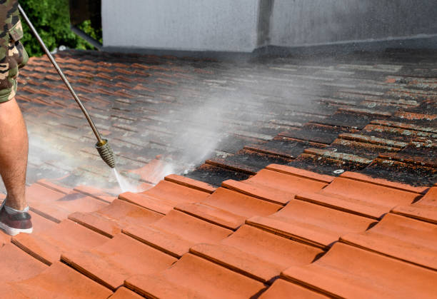 Best Roof Pressure Washing  in Priceville, AL